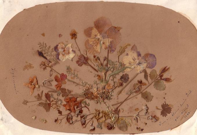 Popis: Popis: image007