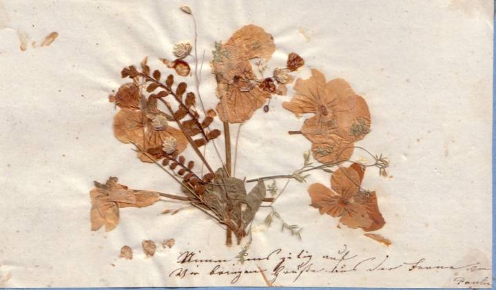 Popis: Popis: image003