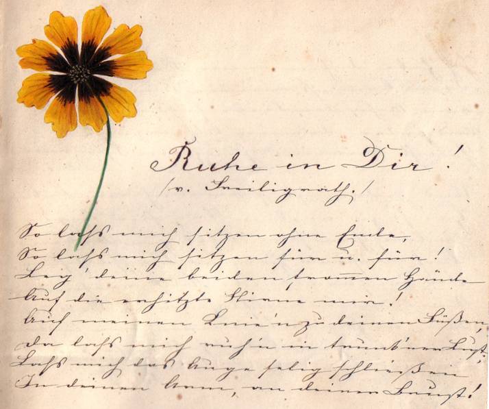 Popis: Popis: image003