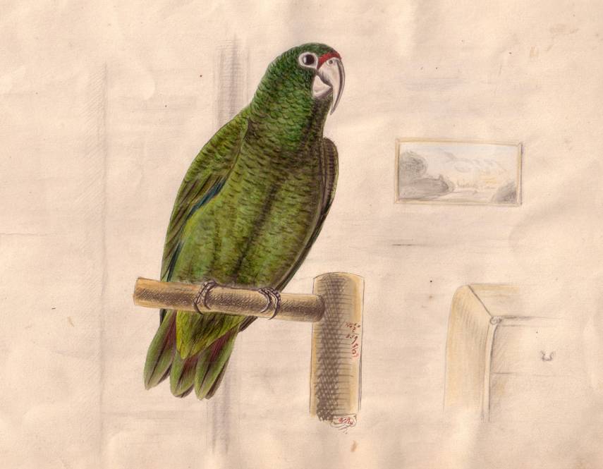 Popis: Popis: image002