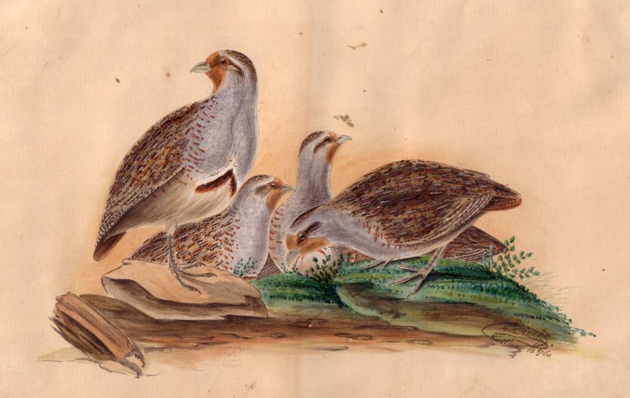 Popis: Popis: image004