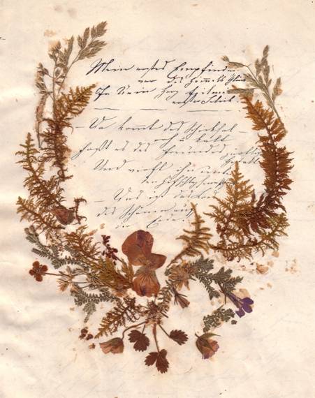 Popis: Popis: image008