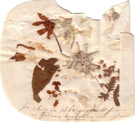 Popis: Popis: image007