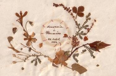 Popis: Popis: image007