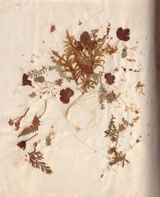 Popis: Popis: image002