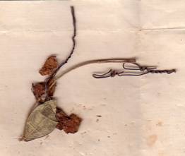 Popis: Popis: image007