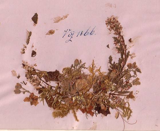 Popis: Popis: image007