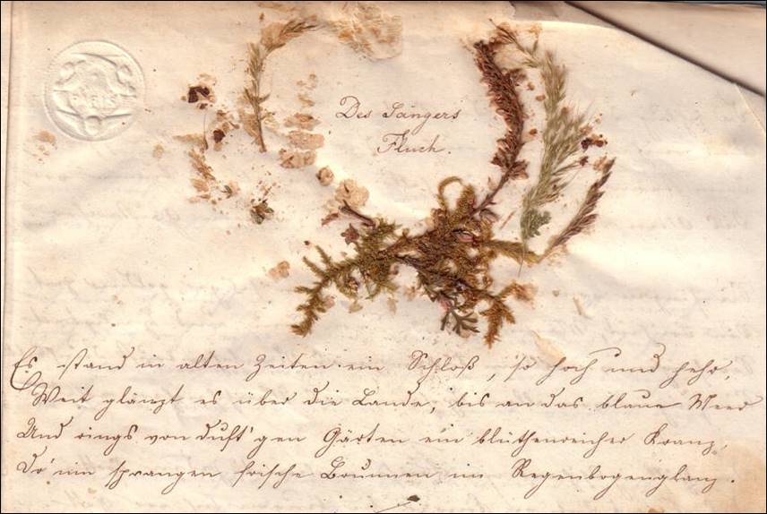 Popis: Popis: image003