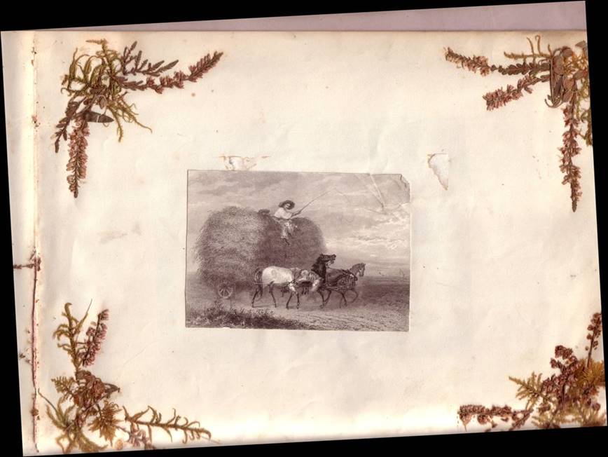 Popis: Popis: image002