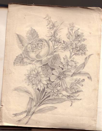 Popis: Popis: image002