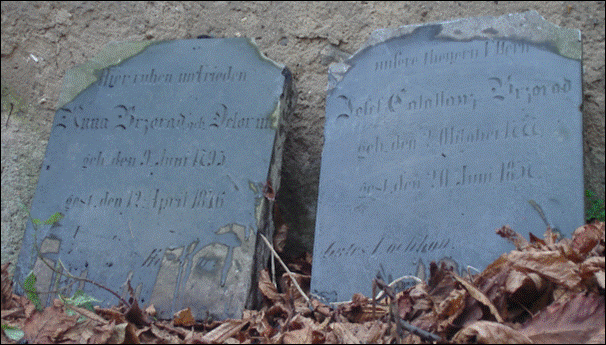 Popis: Popis: Popis: Popis: Popis: Popis: Popis: Popis: Popis: Popis: Popis: Popis: Popis: Popis: Popis: obrzek 120