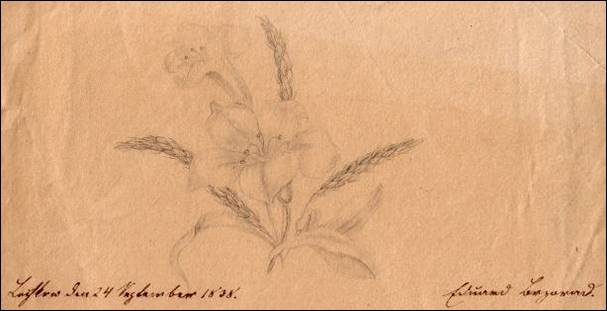 Popis: Popis: Popis: Popis: Popis: Popis: obrzek 161