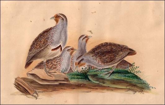 Popis: Popis: Popis: Popis: Popis: Popis: Popis: Popis: Popis: Popis: Popis: Popis: Popis: Popis: Popis: Popis: Popis: image004