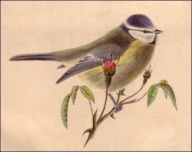 Popis: Popis: Popis: Popis: Popis: Popis: Popis: Popis: Popis: Popis: Popis: Popis: Popis: Popis: Popis: Popis: Popis: image002