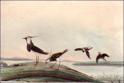 Popis: Popis: Popis: Popis: Popis: Popis: Popis: Popis: Popis: Popis: Popis: Popis: Popis: Popis: Popis: Popis: Popis: image006