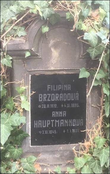 Popis: Popis: Popis: C:\Users\Jan\Documents\Docasne\docasne nepokusny_soubory\image002.jpg