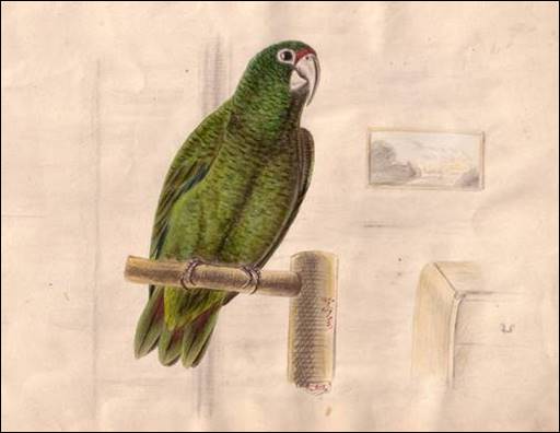 Popis: Popis: Popis: Popis: Popis: Popis: Popis: Popis: Popis: Popis: Popis: Popis: Popis: Popis: Popis: Popis: Popis: Popis: Popis: Popis: Popis: Popis: Popis: Popis: Popis: Popis: Popis: Popis: Popis: Popis: Popis: Popis: Popis: Popis: Popis: Popis: Popis: C:\Users\Acer\Documents\doasn\pokusny_soubory\image002.jpg