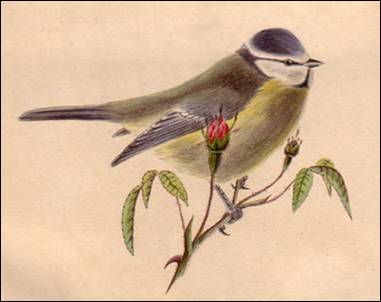 Popis: Popis: Popis: Popis: Popis: Popis: Popis: Popis: Popis: Popis: Popis: Popis: Popis: Popis: Popis: Popis: Popis: Popis: Popis: Popis: Popis: Popis: Popis: Popis: Popis: Popis: Popis: Popis: Popis: Popis: Popis: Popis: Popis: Popis: Popis: Popis: Popis: Popis: image002