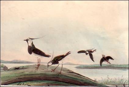 Popis: Popis: Popis: Popis: Popis: Popis: Popis: Popis: Popis: Popis: Popis: Popis: Popis: Popis: Popis: Popis: Popis: Popis: Popis: Popis: Popis: Popis: Popis: Popis: Popis: Popis: Popis: Popis: Popis: Popis: Popis: Popis: Popis: Popis: Popis: Popis: Popis: Popis: image006